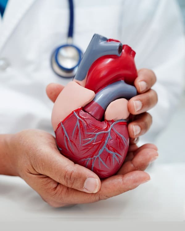 Cardiology