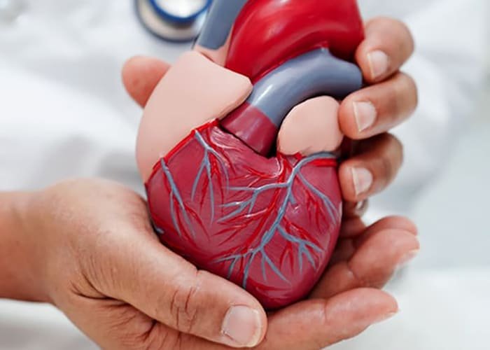 How To Improve Your Heart Health at Home